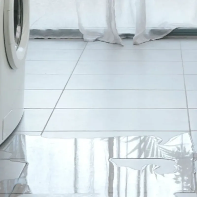 Appliance Leak Cleanup in Lakewood Club, MI