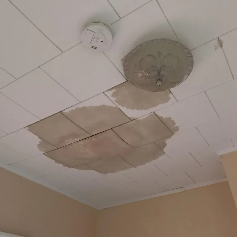 Ceiling Water Damage Repair in Lakewood Club, MI