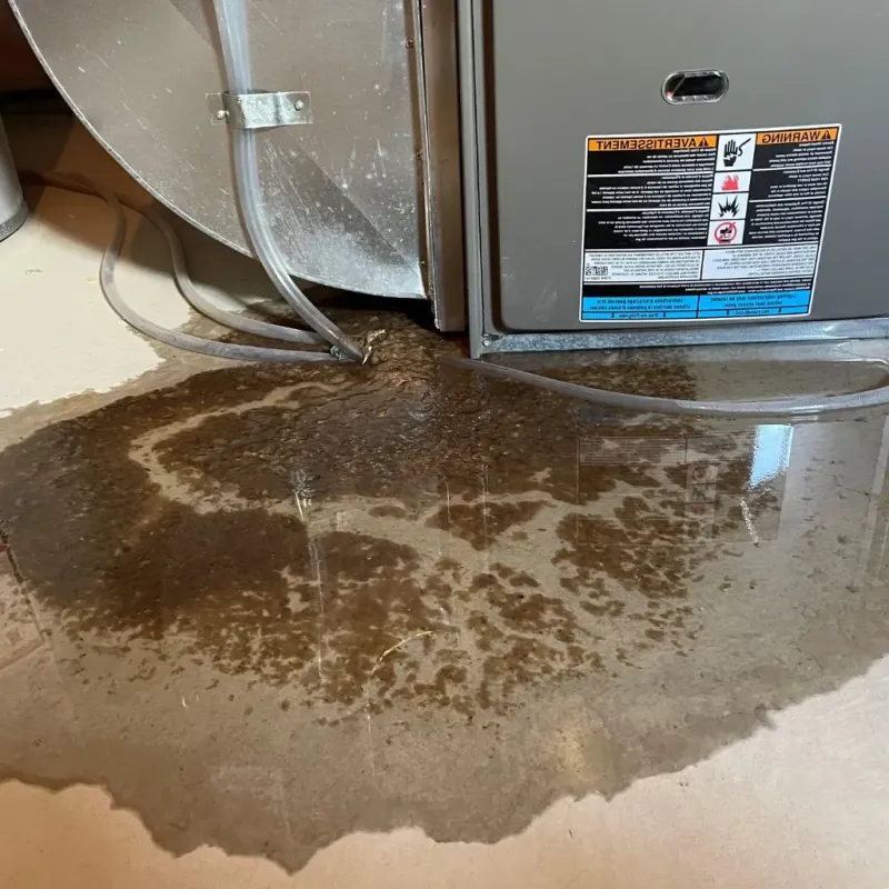 Pipe Burst and Leak Restoration in Lakewood Club, MI